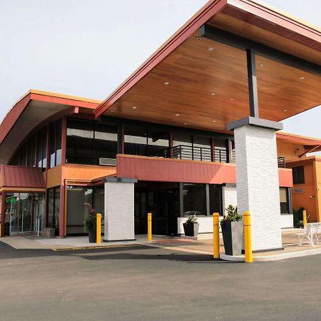 Quality Inn O'Hare Airport Schiller Park Екстериор снимка